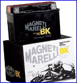 2006 Marelli Yix30l Harley Davidson Flhx Street Glide 1450 Magnet Battery