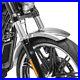 Fender-RB6-for-Harley-Davidson-Street-750-500-Mudguard-Silver-01-kh