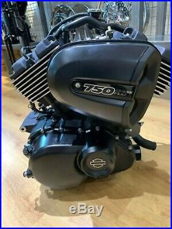 Harley Davidson 2019 XG750 Street Rod Engine complete