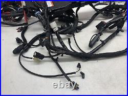 Harley Davidson FLHXSE Cvo Street Glide 1923 2017-2023 Main Wiring Loom Harness