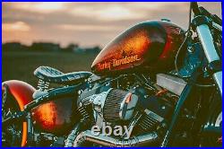 Harley Davidson Street Bob fxbb custom bobber stage 1 low mileage 107ci