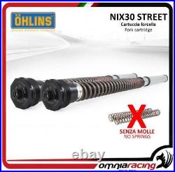 Ohlins NIX30 Street fork cartridges out springs HD Softail Fat Bob 18